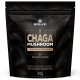 SOLVE LABS CHAGA MUSHROOM 30 g
