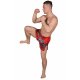 BELTOR SPODENKI MUAY THAI