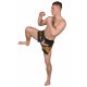 BELTOR SPODENKI MUAY THAI
