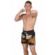 BELTOR SPODENKI MUAY THAI