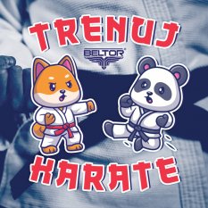 Beltor Naklejka trenuj karate wlepka 8x8 cm