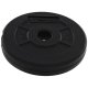Platinum Fitness Obciążenie bitumiczne czarne 1,25kg/29mm