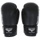 Beltor Dziecięce rękawice bokserskie treninowe DRAGON