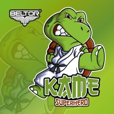 BELTOR NAKLEJKA KARATE VLEPKA PAPIEROWA KAME ŻÓŁW SUPERHERO ZIELONA w 8x8cm