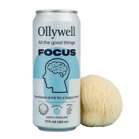 OLLYWELL FOCUS 330 ml Naturalny napój z Lions Mane